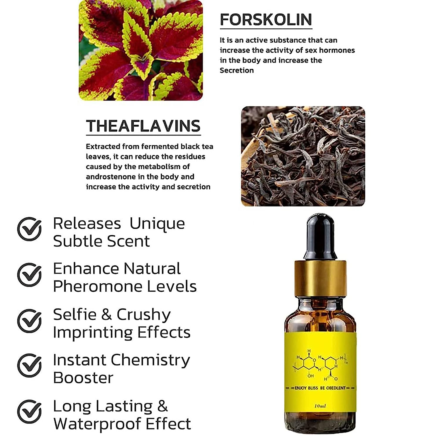 Feromon untuk Pria Menarik Wan - Perfume Fragrance One ulasan dan harga
