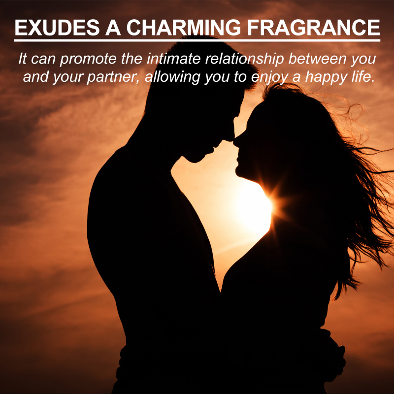 Roxelis Cologne Pria dengan ar - On Perfume & Fragrance Kota Bogor ulasan dan harga