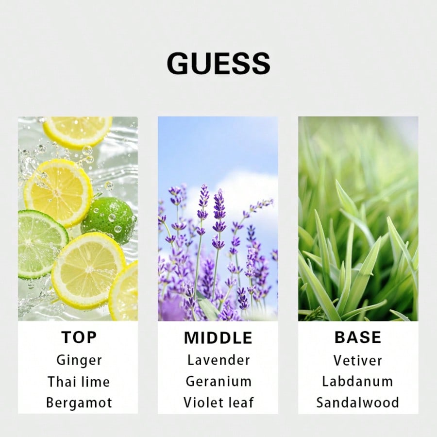 Guess Forever Men Eau De Toile - Perfume Fragrance Man ulasan dan harga